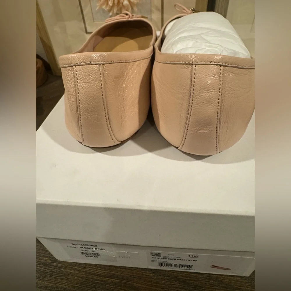 Chloé Iris leather ballet flats. Pink Blush. Size 41 New in Box. Authentic